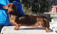 Wilma 9 månader